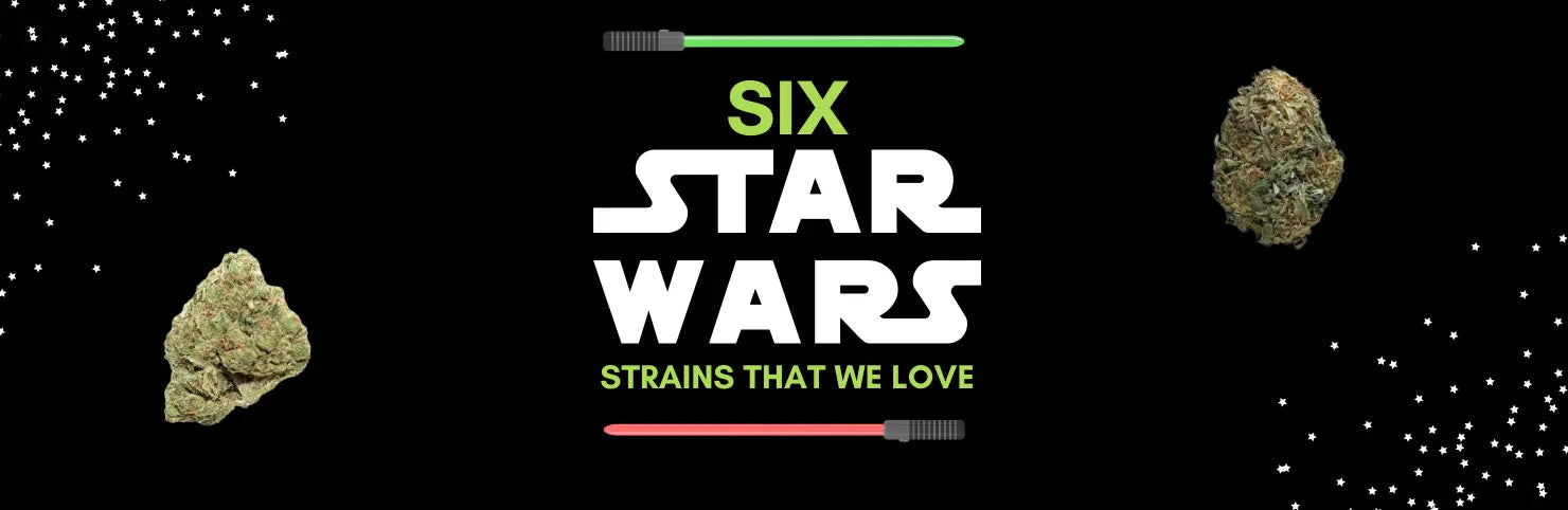 http://bndlstech.com/cdn/shop/articles/star-wars-strains-header-3804x964-_2x-1480x482.webp?v=1670774256&width=2048