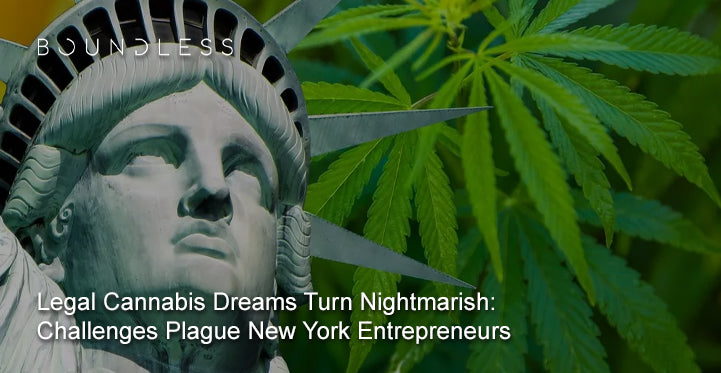 Legal Cannabis Dreams Turn Nightmarish: Challenges Plague New York Entrepreneurs