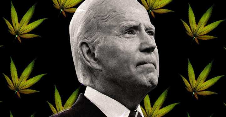President Biden Grants Pardons for Marijuana Offenses, Aiming to Rectify Justice Disparities