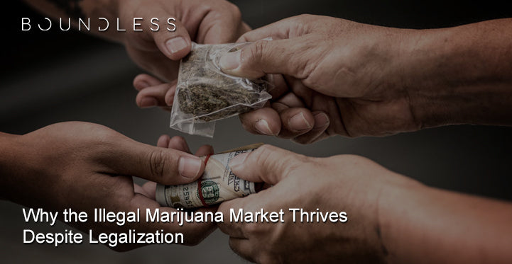 Why the Illegal Marijuana Market Thrives Despite Legalization