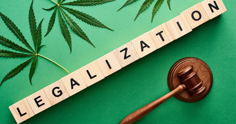 The Growing Trend: More States Embrace Cannabis Legalization